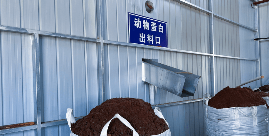 達拉特旗構(gòu)建“五位一體”病死畜禽無害化處理模式，推動生物有機肥料研發(fā)保障食品與生態(tài)安全