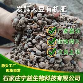 河北生物菌與生物質(zhì)能技術(shù)服務(wù) 綠色能源的未來之路